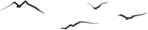 20230731221048_55211.jpg