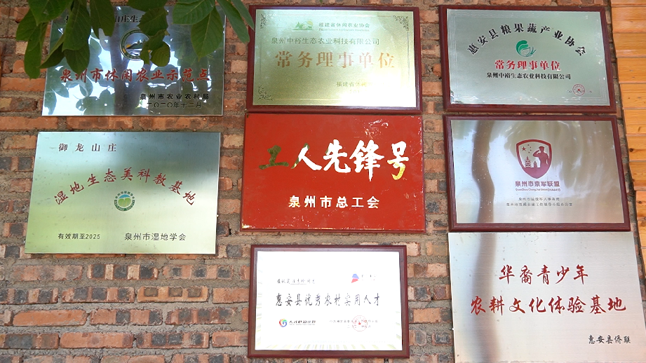 1693354353620443.png